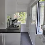 'de Witte Vlinder' Chalet *