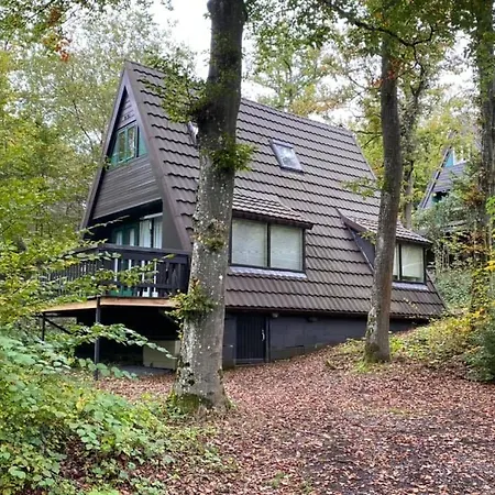 Шале 'de Witte Vlinder' Дюрбюи