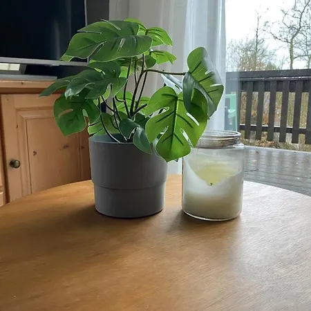 'de Witte Vlinder' Шале